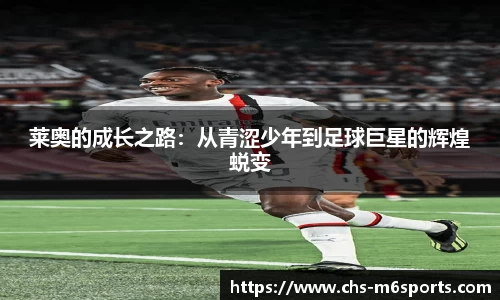米乐m6